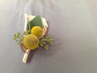 Woolyheads Boutonniere from Lewis Florist in Grayslake, IL 