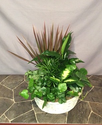 Large white basket planter from Lewis Florist in Grayslake, IL 