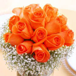 Orange Crush Roses from Lewis Florist in Grayslake, IL 