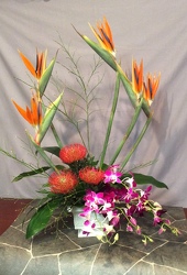 Tropical Splendor from Lewis Florist in Grayslake, IL 