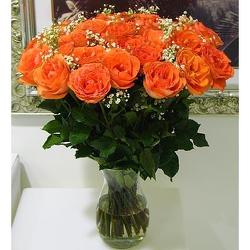 Two Dozen Orange Crush Roses from Lewis Florist in Grayslake, IL 