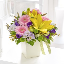 Bright Spring Cube from Lewis Florist in Grayslake, IL 