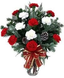 Christmas Carnations from Lewis Florist in Grayslake, IL 