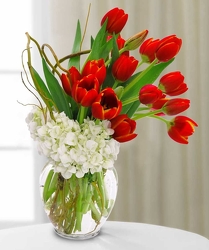 Classy Red and White from Lewis Florist in Grayslake, IL 