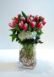 Spring Tulips and Hydrangea from Lewis Florist in Grayslake, IL 