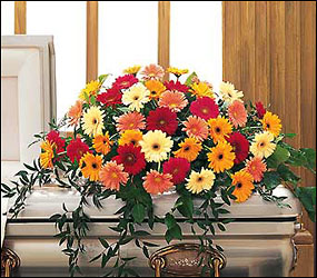 Uplifting Thoughts Casket Spray from Lewis Florist in Grayslake, IL 
