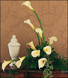 White Expressions from Lewis Florist in Grayslake, IL 