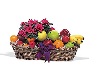 Plant and Fruit Basket from Lewis Florist in Grayslake, IL 