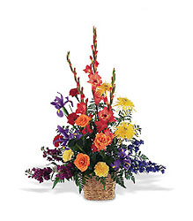Warm & Comfort rainbow colors from Lewis Florist in Grayslake, IL 