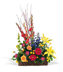 Sunshine Basket from Lewis Florist in Grayslake, IL 