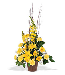 Brighter Blessings Arrangement from Lewis Florist in Grayslake, IL 
