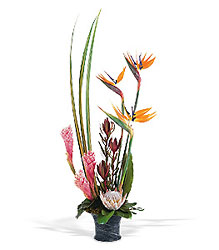 Tropical Paradise Arrangement from Lewis Florist in Grayslake, IL 