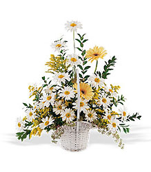 Drop of Sunshine Basket from Lewis Florist in Grayslake, IL 