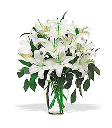 White Elegance from Lewis Florist in Grayslake, IL 