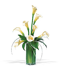 Graceful Callas from Lewis Florist in Grayslake, IL 