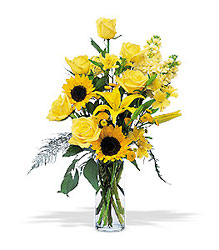 Blazing Sunshine from Lewis Florist in Grayslake, IL 
