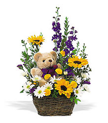 New Baby Basket & Bear from Lewis Florist in Grayslake, IL 