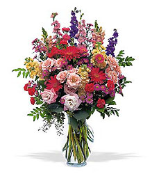 Large Sunshine and Smiles from Lewis Florist in Grayslake, IL 