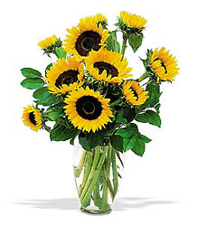 Shining Summer Sunflowers from Lewis Florist in Grayslake, IL 