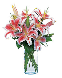Lovely Lilies from Lewis Florist in Grayslake, IL 