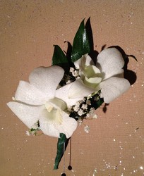 White Orchids from Lewis Florist in Grayslake, IL 