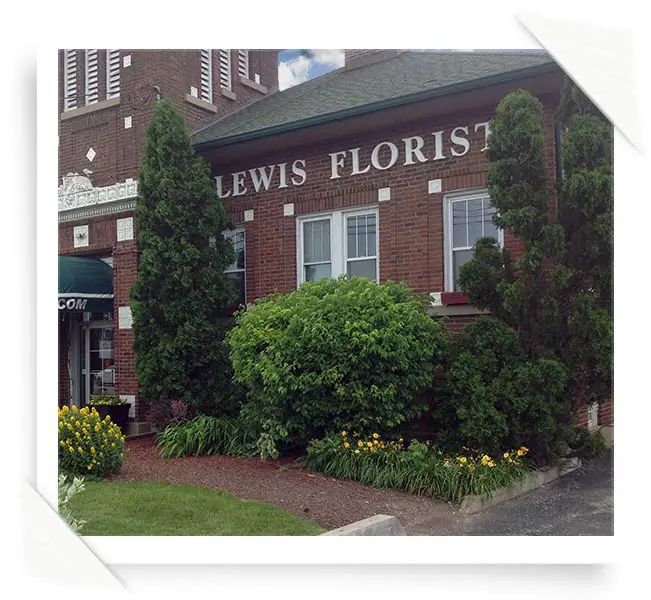 Lewis Florist in Grayslake, IL