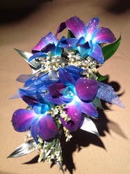 Bomb Blue Orchids from Lewis Florist in Grayslake, IL 
