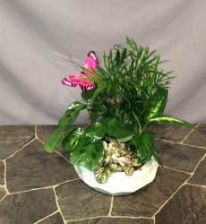 White ceramic planter from Lewis Florist in Grayslake, IL 