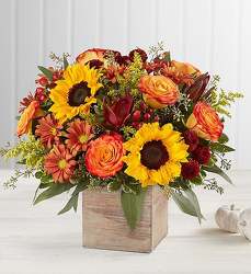 Harvest Box from Lewis Florist in Grayslake, IL 