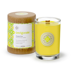 Seeking Balance INVIGORATE Holistic Candle from Lewis Florist in Grayslake, IL 