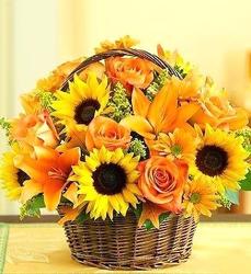 Basket of Sunflowers roses Lilies from Lewis Florist in Grayslake, IL 