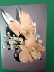 Brushed Peach Orchids from Lewis Florist in Grayslake, IL 