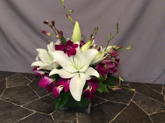 ELEGANT Purple and White from Lewis Florist in Grayslake, IL 