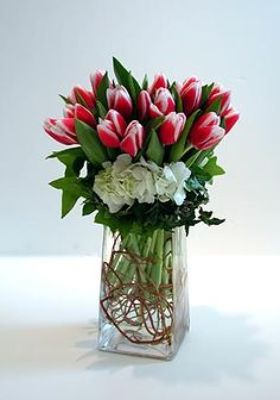 Spring Tulips and Hydrangea