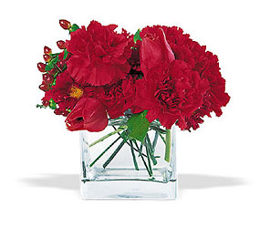 Passionate Reds from Lewis Florist in Grayslake, IL 