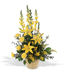 Golden Rays of Hope   from Lewis Florist in Grayslake, IL 