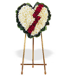 Broken Heart from Lewis Florist in Grayslake, IL 