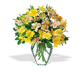 Sparkling Alstroemeria from Lewis Florist in Grayslake, IL 
