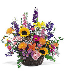 Summertime Sensation Basket from Lewis Florist in Grayslake, IL 