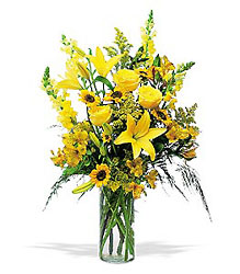 Sunny Days from Lewis Florist in Grayslake, IL 
